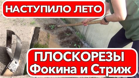 Наступило лето Плоскорезы Фокина и Стриж День двора - YouTube