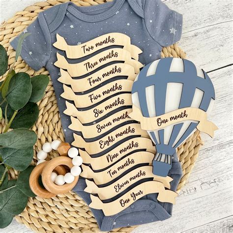 Hot Air Balloon Baby Monthly Milestone Set Baby Monthly Milestone Set Baby Photo Prop