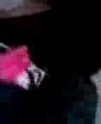 Panty Raid Gay Man Porn XHamster