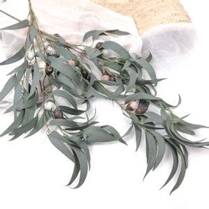 Eucalyptus Gumnut Long Spray Cmh Native Flowers Artificial Flowers