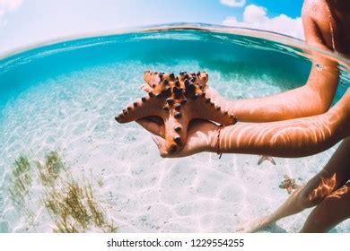 Beautiful Naked Woman Swimming Dive Tropical Stock Photo 1229554333 Shutterstock
