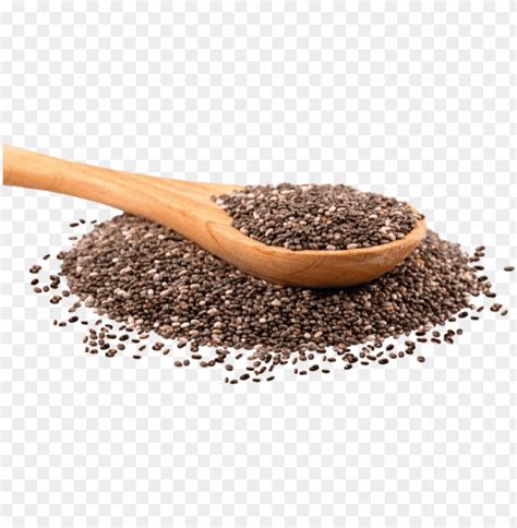 chia seed png transparent  clear background id  toppng