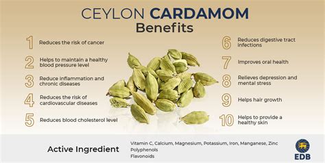 Benefits of Cardamom - FAQ on Ceylon Spices - EDB Sri Lanka