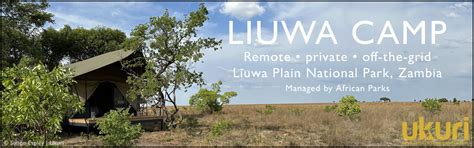 Unravelling The Elaborate Sex Lives Of Spotted Hyenas Africa Geographic