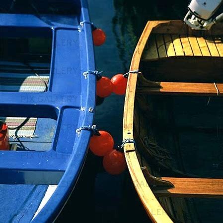 Ekor foto, 103 bilder totalt | Bildbyrå Pix Gallery