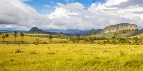 Pacotes Chapada Dos Veadeiros Gold Trip