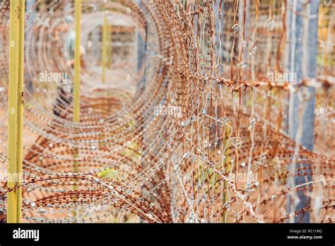 Barbed wire, a fence in prison. Prison concept Stock Photo - Alamy