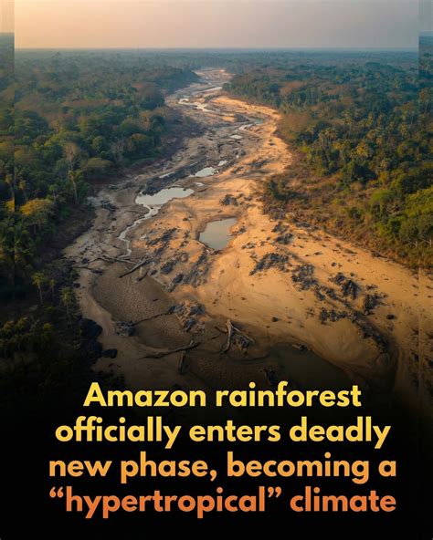 Hashem - 🚨 The Amazon rainforest is transitioning to a "hypertropical