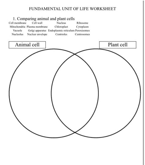 Comparing Plant And Animal Cells Worksheet