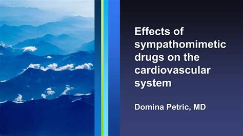 Effects Of Sympathomimetic Drugs On The Cardiovascular System Ppt