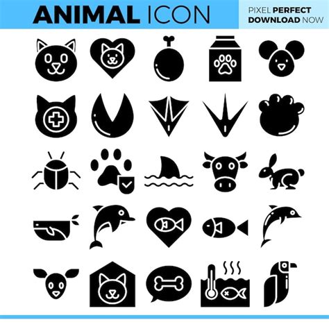 Premium Vector Illustration Of Animal Pack