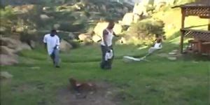 Tiffany Hopkins And 3 Black Dicks Tiffany Hopkins Porn Videos