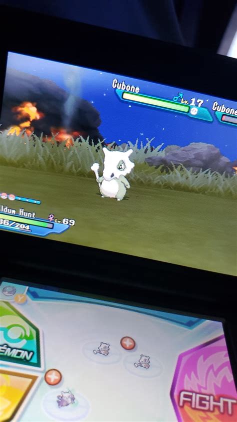 7 Shiny Alolan Cubone Rshinypokemon