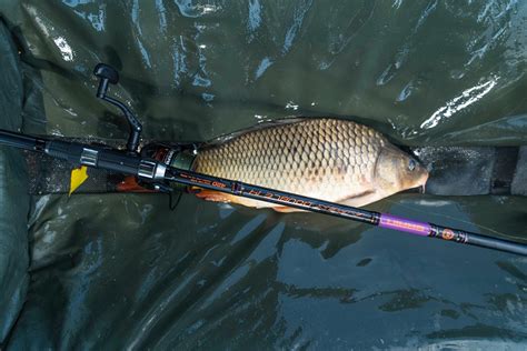 ::BRAIN:: Карп-фидер Brain Apex Double 3.6m 4.0lbs/max 180g