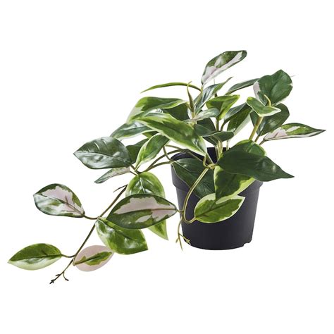 Fejka Planta Artificial Ikea