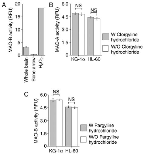 Lack Of Mao A And B Activity In Bone Marrow Cells And Acute Myeloid