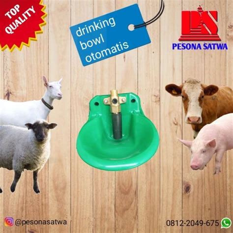 promo drinking bowl tempat minum otomatis kambing domba tempat minum