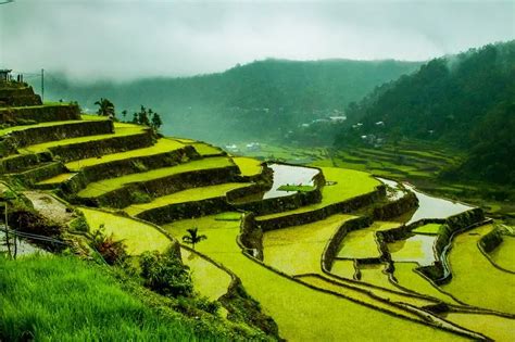 Hiking The Rice Terraces Of Banaue Philippines