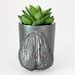 Ball Planter Nude Penis Pot Testicle Planter Succulent Eco Friendly Cup Pencil Pen Holder Etsy