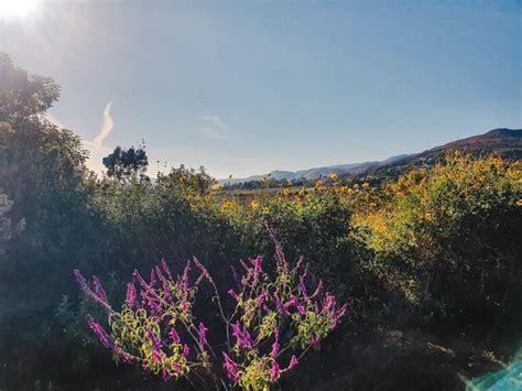 Hike Malibu Bluffs Trail For Ocean Views All To Yourself America