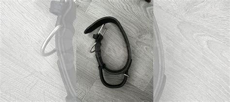 Ошейники для слбаки купить в Москве | Животные и зоотовары | Авито