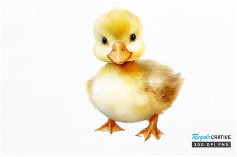 Cute Baby Duck Sublimation Clipart Png Graphic By Regulrcrative