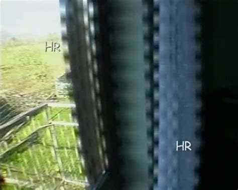 Amateur Swingers Scene In Due Mogli Troie E Maialone Part Hotntubes