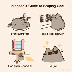 staying cool gifs  share gifdbcom