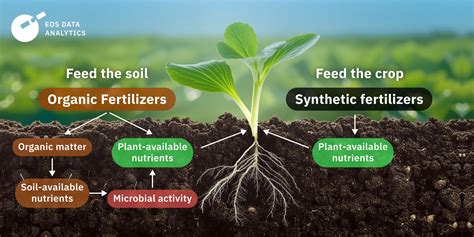Organic Vs Synthetic Fertilizer Pros Cons And Which To Use