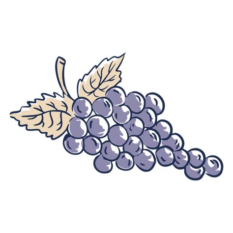 Diseño Png Y Svg De Ilustración De Un Racimo De Uvas Para Camisetas