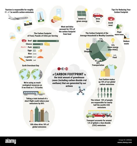 Infographic Of Carbon Footprint Of Household Greenhouse Gases