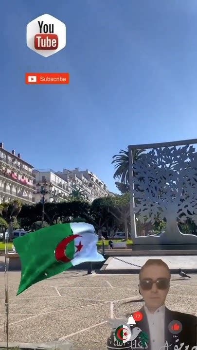 شوارع الجزائر العاصمة 🇩🇿 Youtube