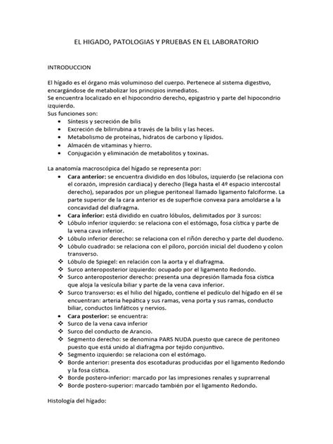 El Higado Pdf Hepatitis Hígado