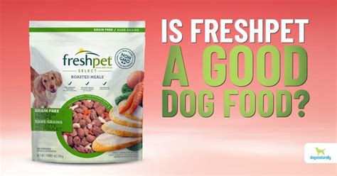Freshpet Select Chicken Buy Discounts Meesenburgkz