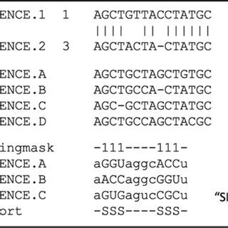 types  sequence alignments  pairwise sequence analysis showing