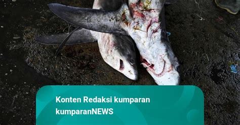 Foto Nelayan Di Pelabuhan Perikanan Samudera Aceh Masih Jual Bebas