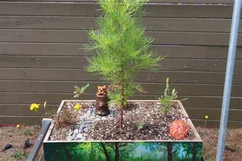 Pelican Bay staff, residents promote health - Inside CDCR