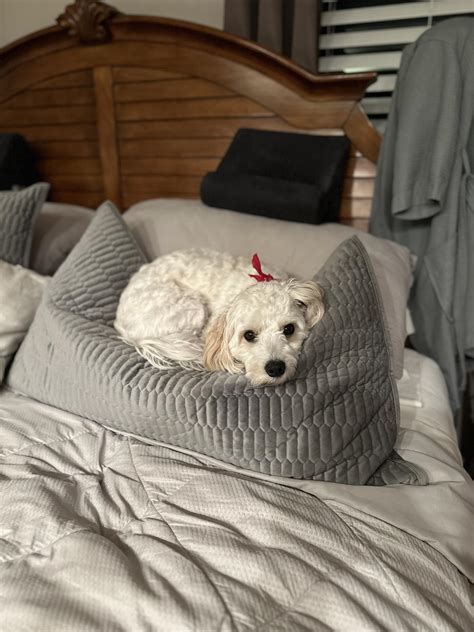 Genesis RCM - The countdown to 2019 is ON. If your cash flows and