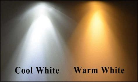 warm white  cool white lights   actual difference
