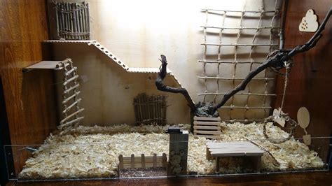 Новый дом для крыс / New rat house - YouTube