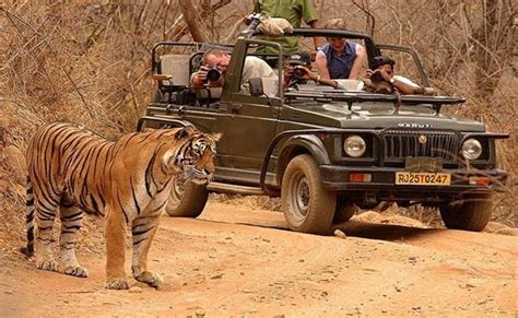 Jaipur Ranthambore Tour 5 Days Jaipur Ranthambore Tour