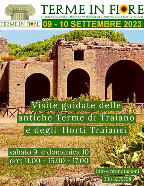 Terme Di Traiano 10