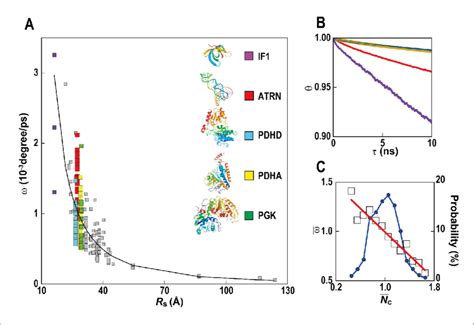 Rotational diffusion of macromolecules. (A) Averaged angular velocity ...