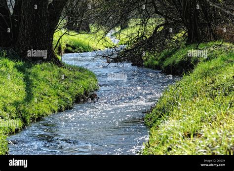 The blue ribbon Stock Photo - Alamy