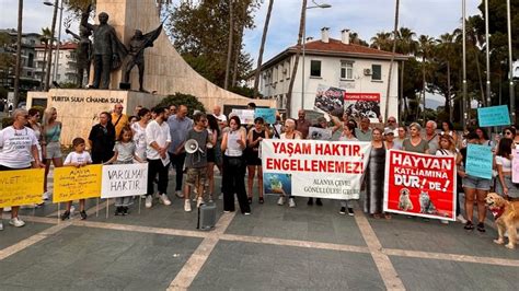 Alanyadaki hayvanseverlerden yasa tasarısına tepki Gerçek Alanya