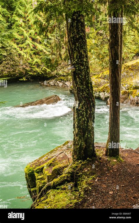 cheakamus  res stock photography  images alamy