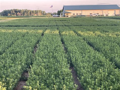 Legacy Seeds: Where Passion Meets Profession - A Chat with Bret and