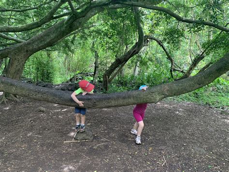 #1 Maui Hike with Kids: Pipiwai Trail and Bamboo Forest Hike (Haleakala