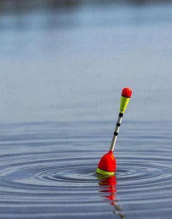 Рибка / Байка | Гулак-Артемовський Петро - читати на «Проба Пера»