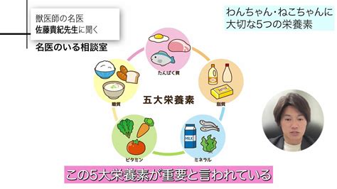 うちのコに合った食事とは？「ペットのご飯」わんちゃんやねこちゃんの成長に合わせ健康を保つためのご飯について獣医師が解説｜fnnプライムオンライン